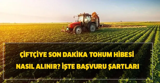 Tohum hibesi yapılacak 21 il hangileri? Çiftçiye tohum hibesi nasıl alınır? İşte başvuru şartları