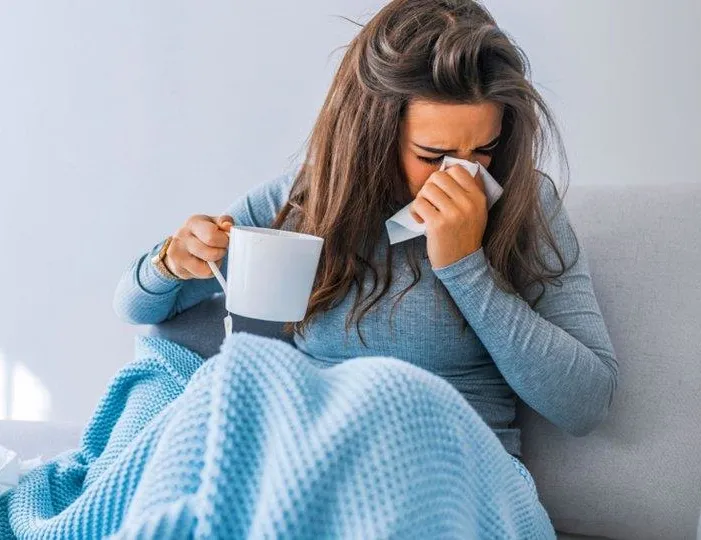 Mevsimlerden domuz gribi