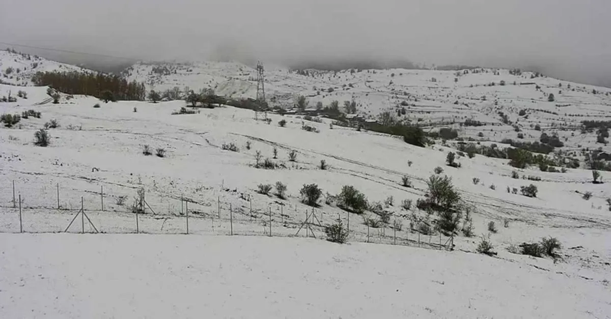 Doğu Anadolu değil! Artvin Şavşat ve Ardanuç'a mayısta kar yağdı