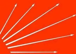 Skandal afiş CHP’yi 2’ye böldü