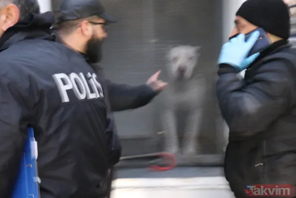 Malatya'da 'pitbull'lu dehşet! Kavga ettiği kişilerin üzerine köpeği saldı: 3 yaralı - 13