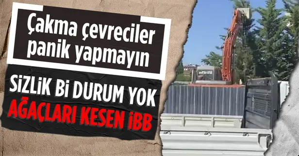 İBB'nin Üsküdar-Sultanbeyli metro hattında ağaçları söküp taşımak yerine iş makinesi ile katletmesi tepkilere neden oldu