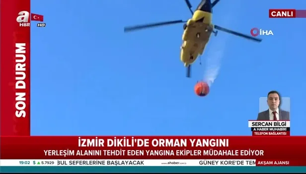 İzmir Dikili'de orman yangını
