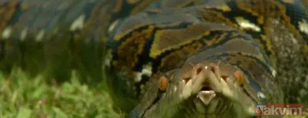 Duvarın içinden gelen seslerden ilallah etti sonunda paramparça etti! Gördükleri karşısında kalbi yerinden çıkacaktı - 48