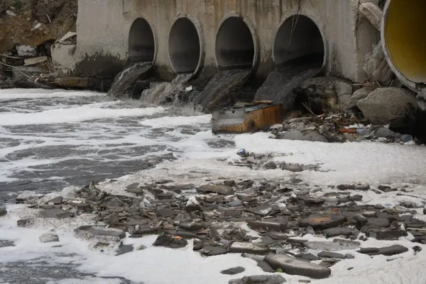 ergene-nehri-kan-agliyor-2022-yilinin-ilk-3-ayinda-45-isletmeye-6-milyon-799-bin-lira-ceza-kesildi-1649156953762.jpg Ergene Nehri kan ağlıyor! 2022 yılının ilk 3 ayında 45 işletmeye 6 milyon 799 bin lira ceza kesildi-4