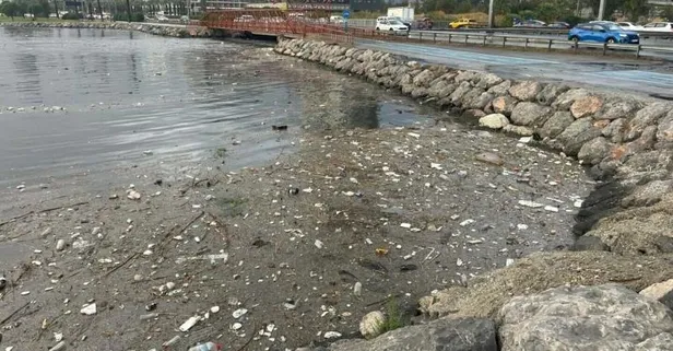 CHP’li belediyelerin işbilmezliği vatandaşı vurdu: İzmir’de çöpler körfeze aktı, Ankara’da susuzluk 6’ncı gününe girdi, Muğla’da sokaklar sele teslim oldu