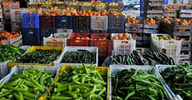 Hal yasası ne zaman çıkacak?