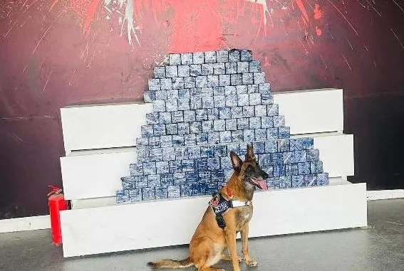 Yolcu otobüsünde 76 kilo eroin bulundu!