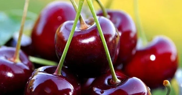 Bağırsak dostu kiraz