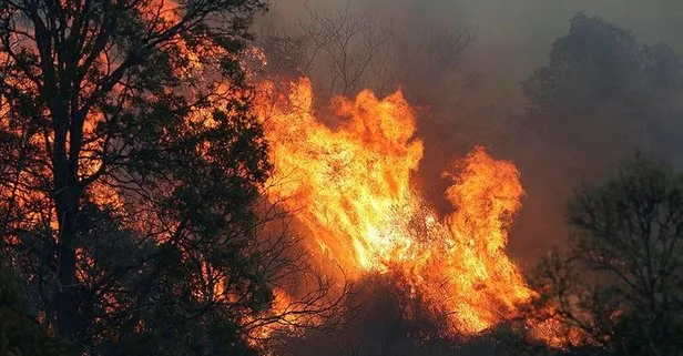 Avustralya’da korkunç tablo! Yangınların 34 ay daha kontrol altına alınamayacağı açıklandı