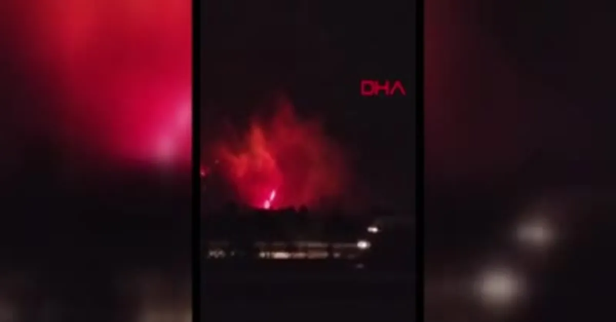 Hatay’da orman yangını!