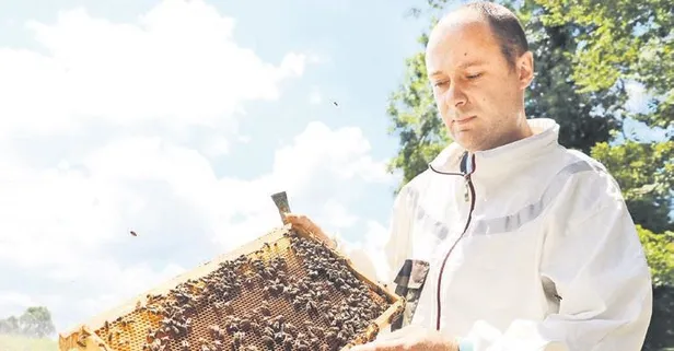 Arı sütü, bal, polen ve propolisten yüksek gelir elde etti