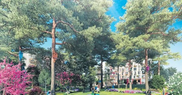 Cekmekoy Ornek Bir Proje Olacak Takvim
