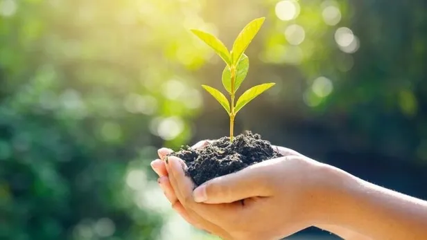 11-kasim-milli-agaclandirma-gunu-gelecege-nefes-ucretsiz-fidan-bagisi-nasil-yapilir-gelecegenefescom-fidan-bagis-sertifikasi-alma-ekrani-1636612763958.jpg 11 Kasım Milli Ağaçlandırma Günü: Geleceğe Nefes Ol ücretsiz fidan bağışı nasıl yapılır? Geleceğenefes.com fidan bağış sertifikası alma ekranı!-3