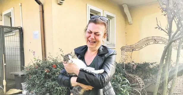 Luks Sitedeki Kedi Olumleri Hayvanseverleri Ayaga Kaldirdi Takvim