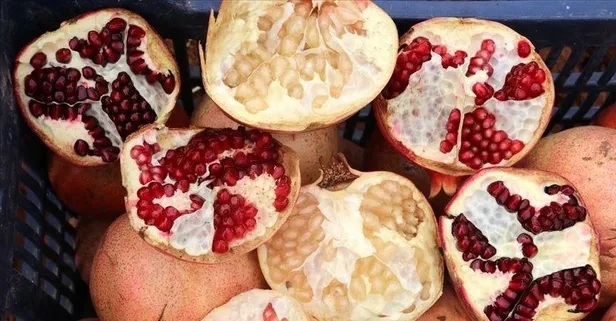 Antioksidan deposu nar, enfeksiyonları temizler ve kas ağrılarını hafifletir