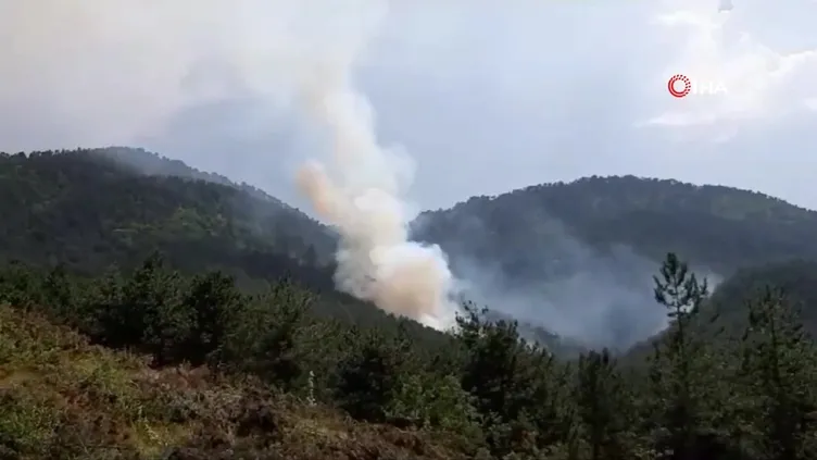Bolu'da orman yangını!