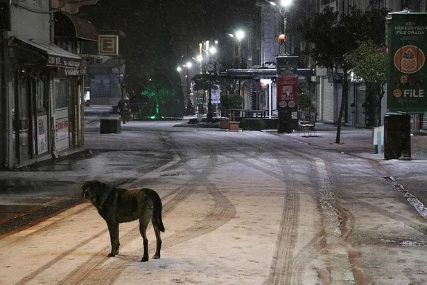 edirnede-gece-saatlerinde-etkisini-arttiran-kar-yagisi-1641953835167.jpeg Edirne'de gece saatlerinde etkisini arttıran kar yağışı yollarda buzlanma ve trafik kazalarını beraberinde getirdi-5
