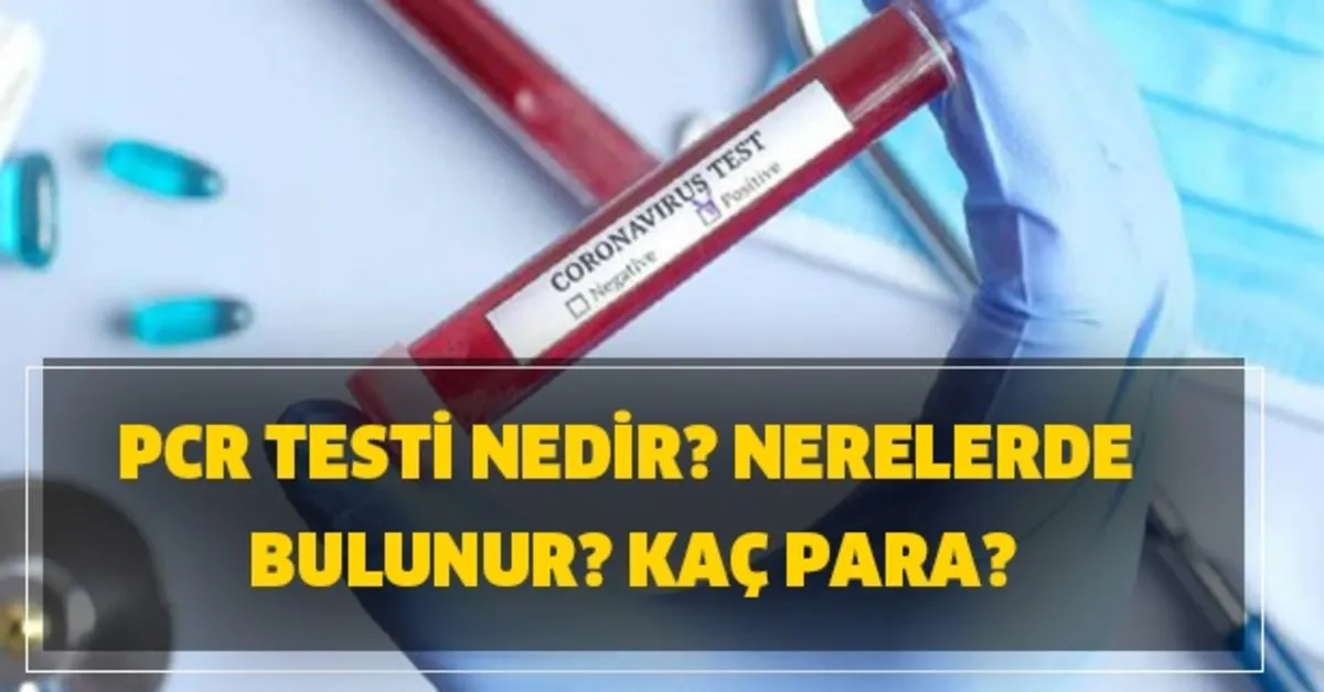 pcr testi nedir nerelerde bulunur kac