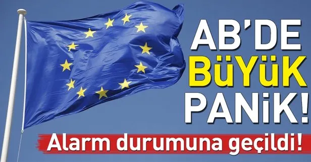 AB'de 'Afrika domuz vebası' alarmı