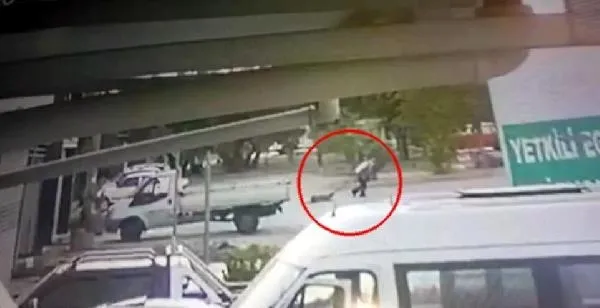 İzmir Bornova'da dehşete düşüren olay! Ayakları bağlanıp sürüklenen sokak köpeği öldü-2