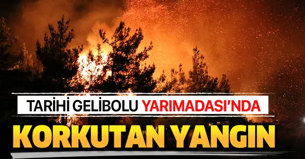 Tarihi Gelibolu Yarımadası'nda korkutan orman yangını