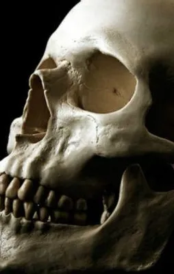 Yamyamlık dini bir ritüelin parçasıymış