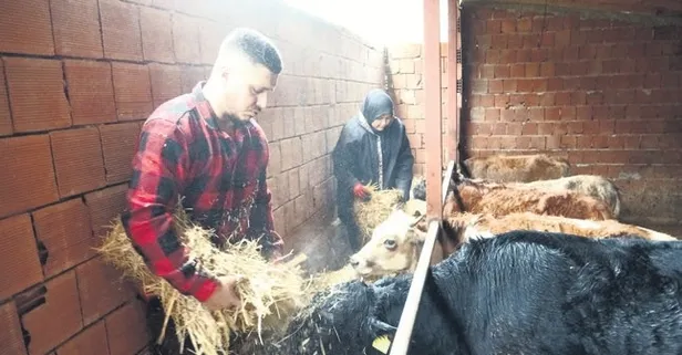 Almanya’yı bıraktı köyüne döndü! Robot gibi çalışacağıma çoban olurum