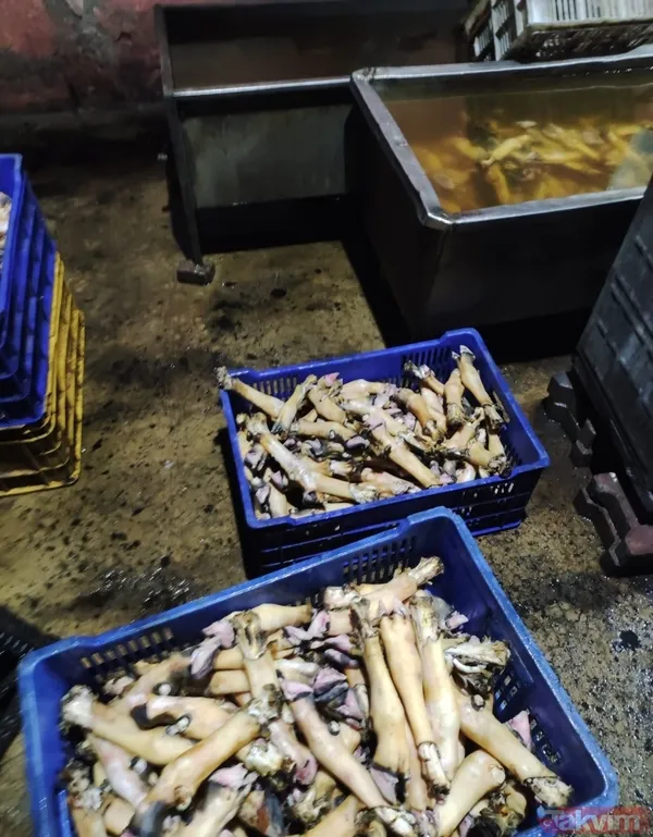 Pastırmasıyla meşhur Kayseri'de mide bulandıran görüntü! 5.5 ton sakatat imha edildi - 7