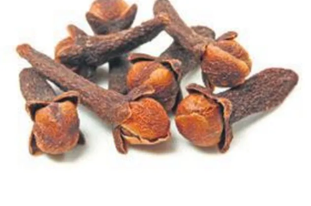 Kemiklere karanfil