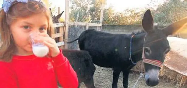 Gençlik iksiri eşek sütü