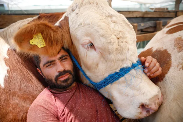 kurban-bayrami-icin-eruzurumdan-istanbula-getirdigi-bogasiyla-uyuyor-1626336455879.jpg Kurban Bayramı için Erzurum'dan İstanbul'a getirdiği boğasıyla uyuyor-9