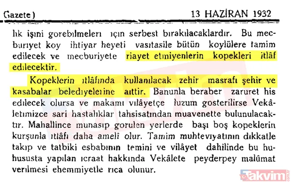 Başıboş sokak köpeği sorununa tarihsel bakış! Atatürk dönemindeki Resmi Gazete'de 'umumi mücade' vurgusu - 20