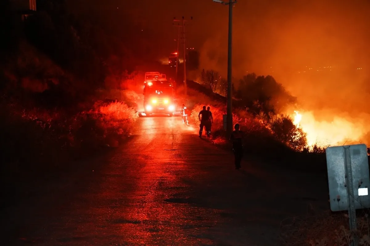 Bakan Gürlek'ten orman yangınları açıklaması: 44 soruşturmada 29 şüpheli tespit edildi 6 kişi tutuklandı-4