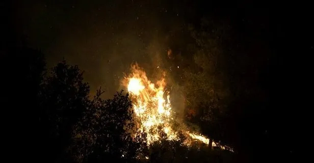 Manisa Salihli’de orman yangını: 10 dönüm alan zarar gördü