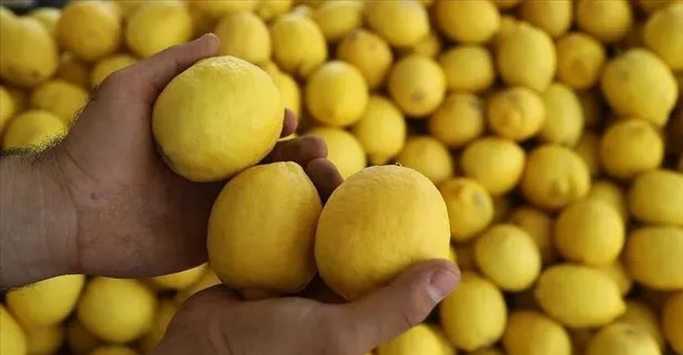 Limon sedefe son