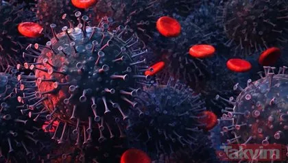 Fransa’da mutasyon alarmı! 50 kişide görüldü! Koronavirüs bağışıklığı geçici mi ömür boyu mu?