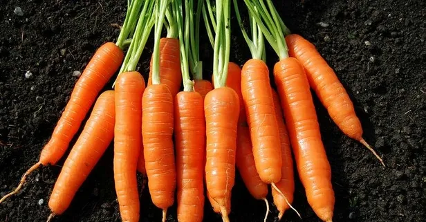 Gözler havuçta! İşte havucun faydaları...