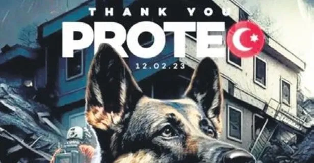 Proteo ağlattı! ‘Süper köpek’ için sosyal medyada 300 bin tweet atıldı