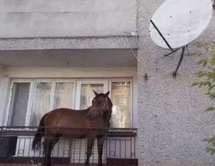 Anlam verilemeyen kareler
