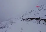 Doğu Karadeniz'de yaylalar beyaza büründü