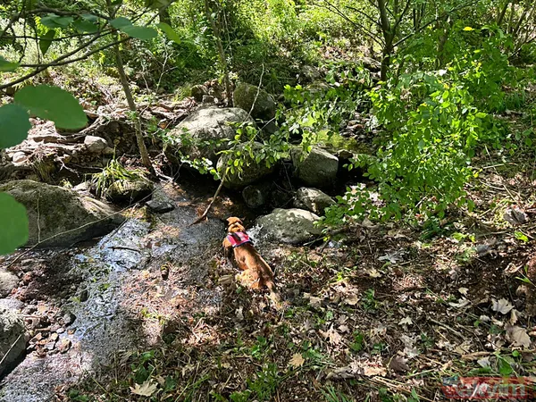 Korhan Berzeg'in ölüm nedeni belli oldu mu? Adli Tıp incelemesi tamamlandı! - 5