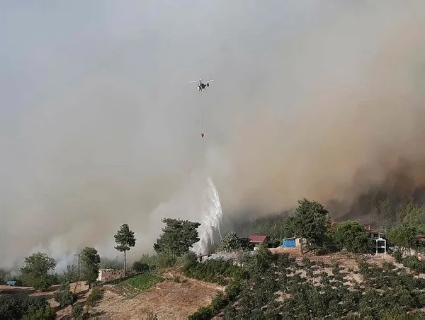 Son dakika: Adana Kozan'da orman yangını! 6 köyde 800 hane boşaltıldı-5