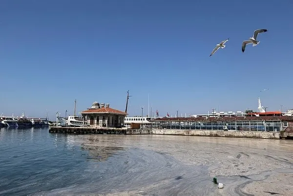son-dakika-marmaradaki-deniz-salyasi-musilaj-sorunu-nasil-cozulecek-bakan-kurumdan-kritik-aciklama-1622975477063.jpg SON DAKİKA! Marmara'daki deniz salyası (müsilaj) sorunu nasıl çözülecek? Bakan Kurum'dan kritik açıklama-2