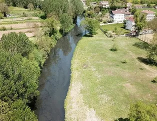 İstanbul’un derelerinden zehir akıyor