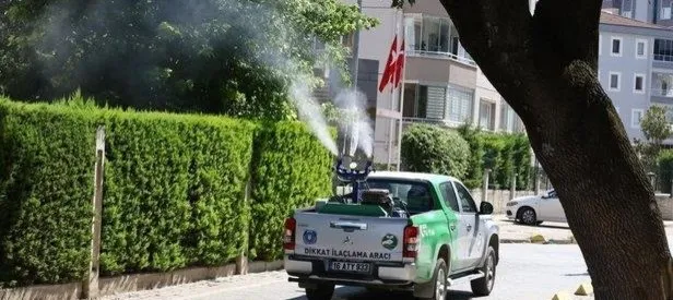 Sinekle kesintisiz mücadele