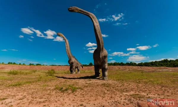 Son akşam yemeği: Bilim insanları yeni bir dinozor türü keşfetti! Meğer tam avını yerken... - 2