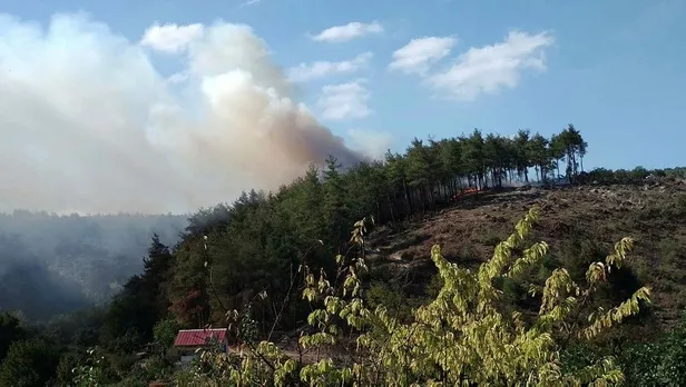 Bursa'nın Osmangazi ilçesinde orman yangını-2