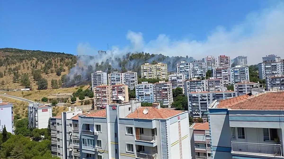 İzmir'de 3 ilçede orman yangını: Ekipler havadan ve karadan müdahale ediyor