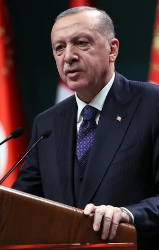 Başkan Erdoğan'dan milli yüzücülere tebrik